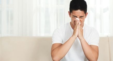 Hay Fever – Symptoms, Treatments and Causes