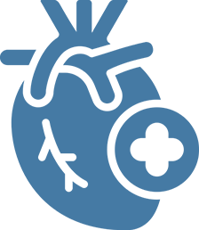 Cardiology Icon