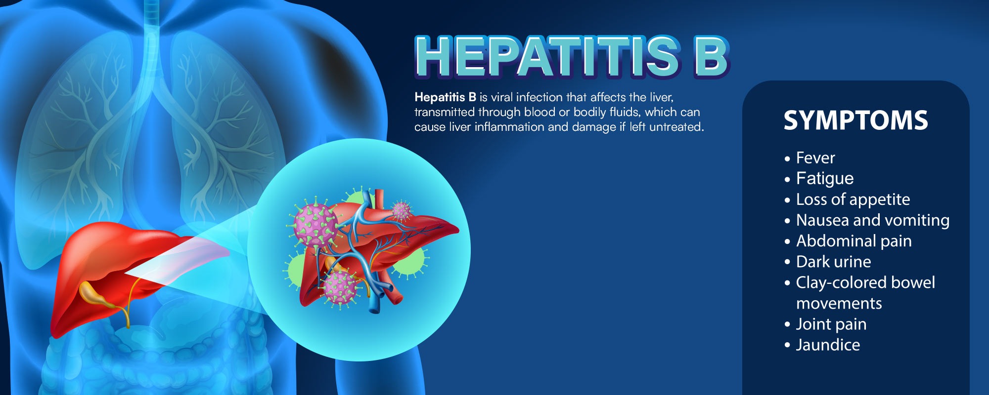 Hepatitis B Treatments