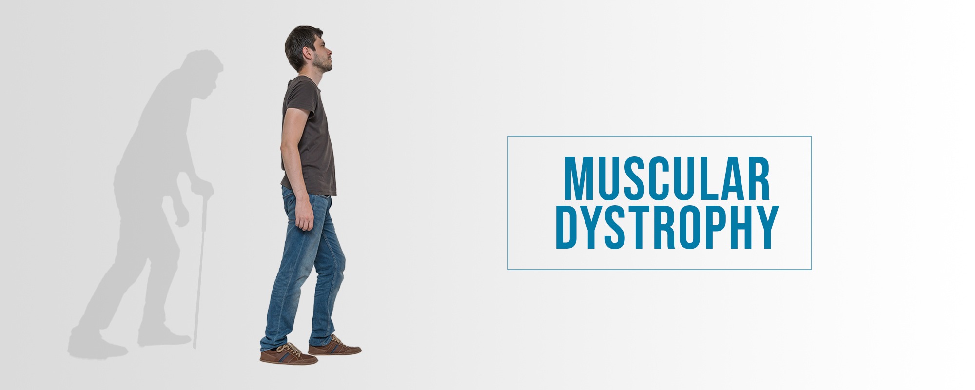 Muscular Dystrophy Treatments