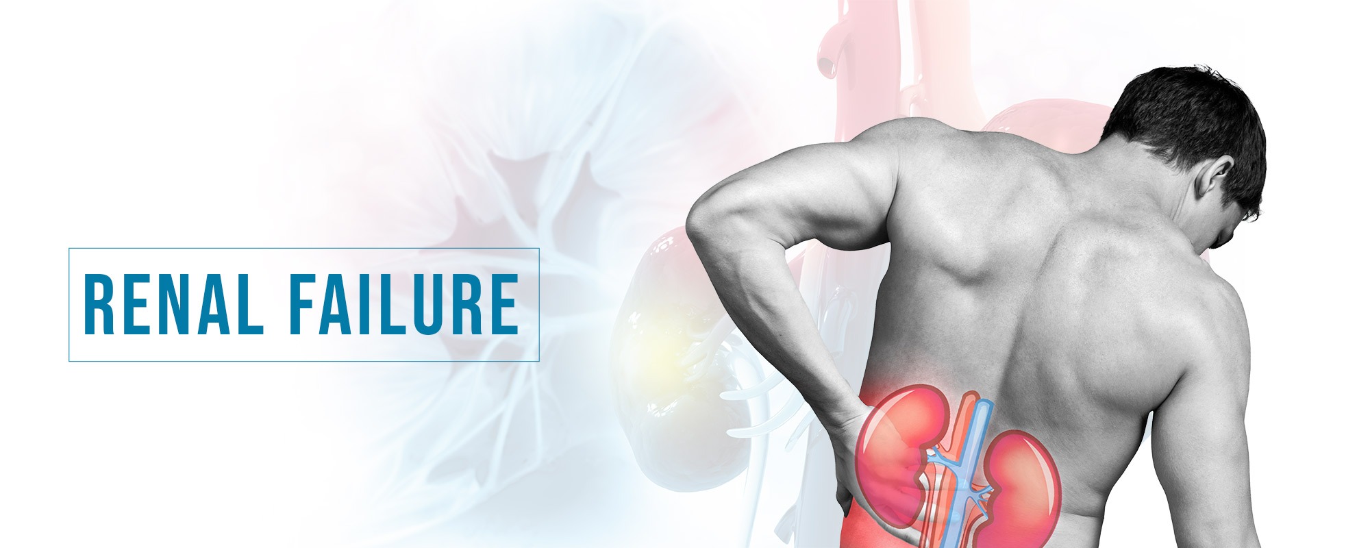 Renal Failure Treatments