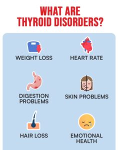 What Are Thyroid Disorders